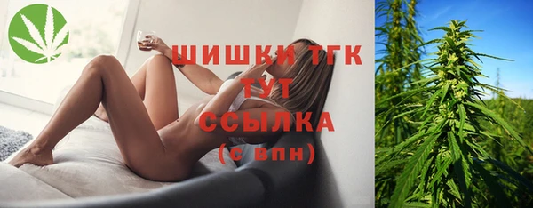 твердый Богородицк