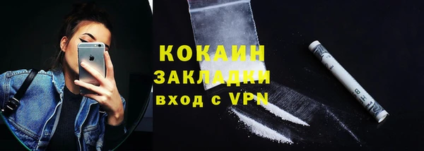 твердый Богородицк