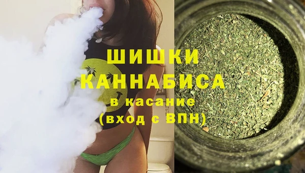 твердый Богородицк