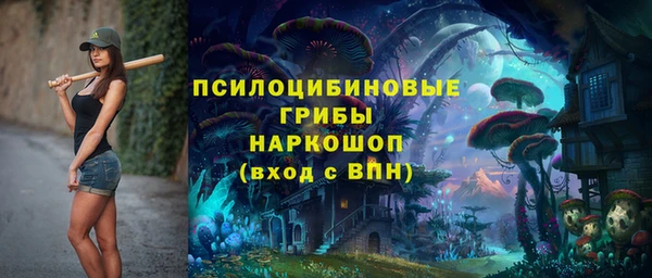 твердый Богородицк
