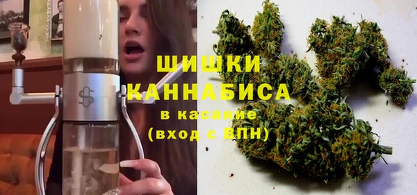 твердый Богородицк