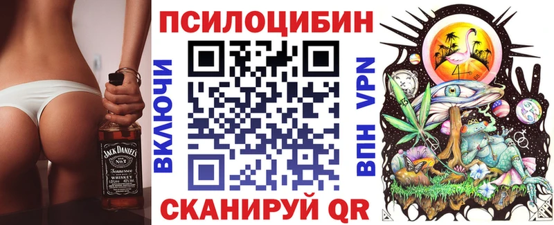 купить наркотики цена площадка какой сайт Галлюциногенные грибы Psilocybe Рязань